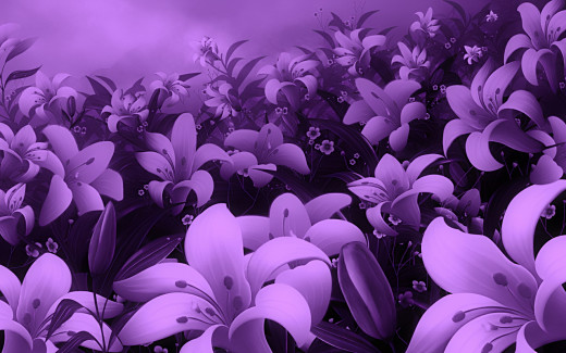 607860 (a): :1920x1200